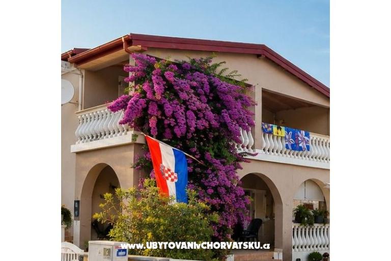 ZELIC FAMILY VIR – photo 11