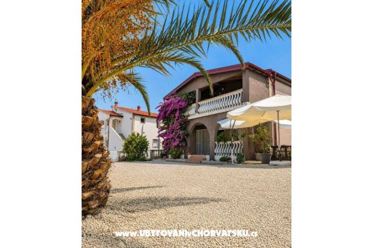 ZELIC FAMILY VIR – photo 12