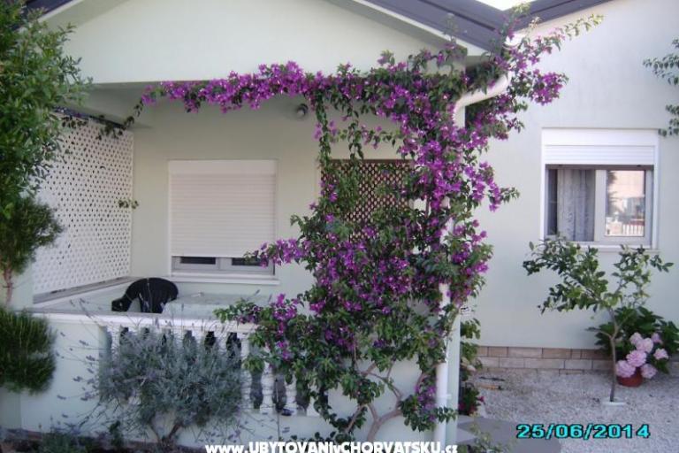 Apartment Zrna – photo 3