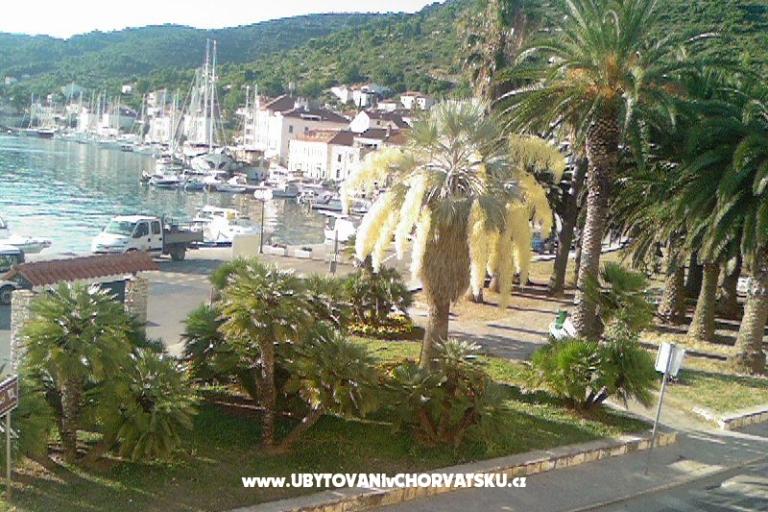 Apartments Bilić – photo 15