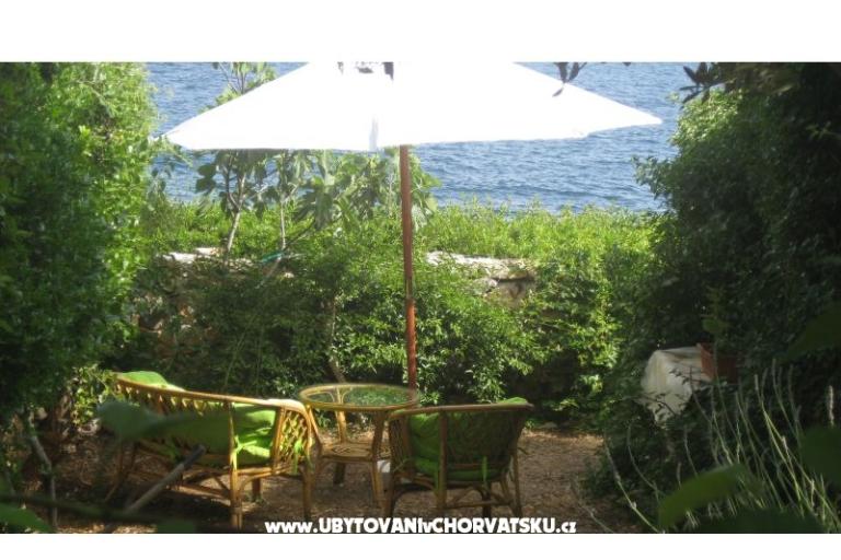 Apartments Goga – photo 15