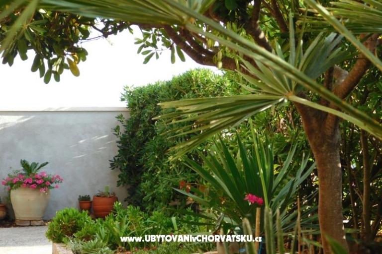 Vis - Apartments Utrobicic – photo 11