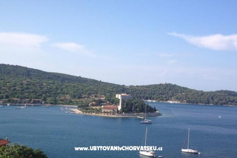 Apartments Žiža – photo 12