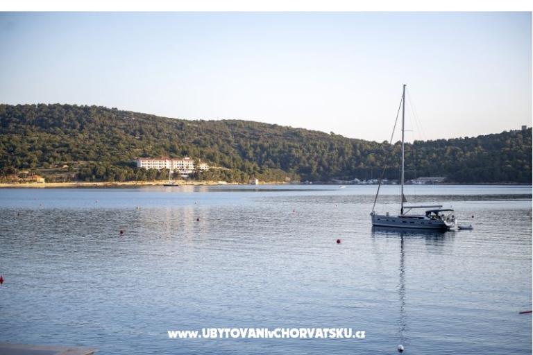 Apartment AndriNa  Vis – photo 16