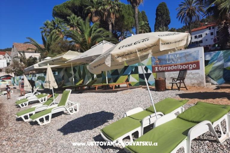 Apartment AndriNa  Vis – photo 4