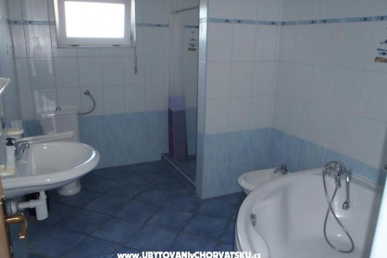 Antonela – photo 3