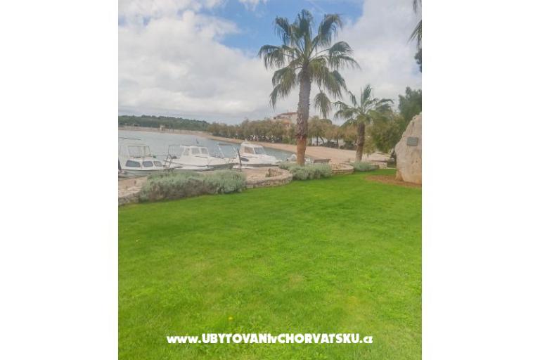 Apartment Željko – photo 6