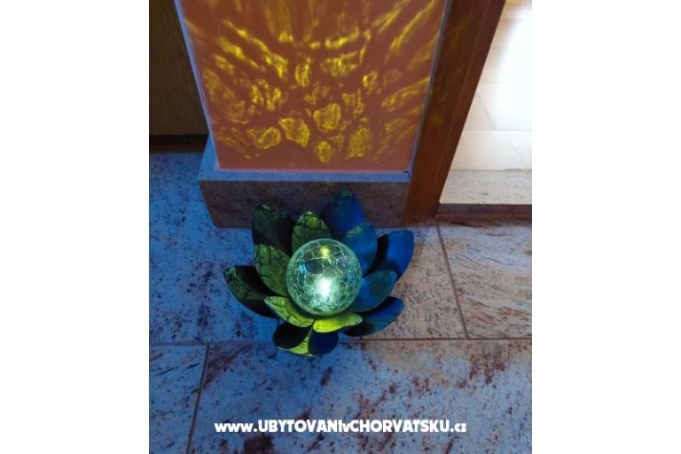 Apartments Alfirev – photo 10