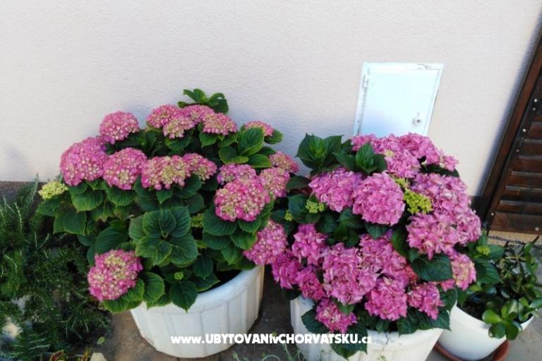 Apartments NIKA – photo 16