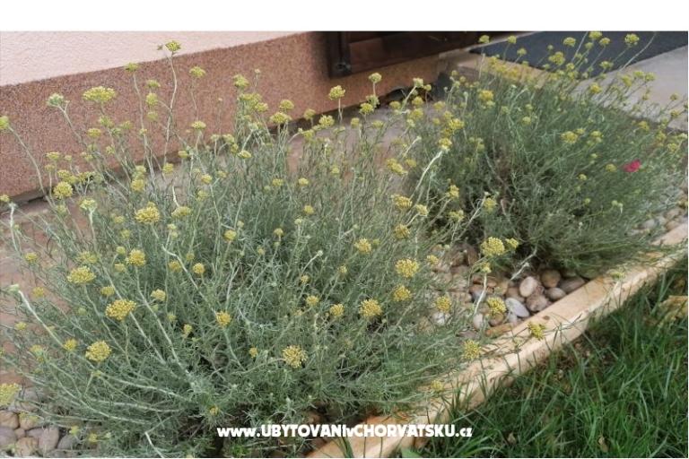 Apartments NIKA – photo 18