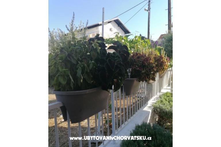 Apartments NIKA – photo 8