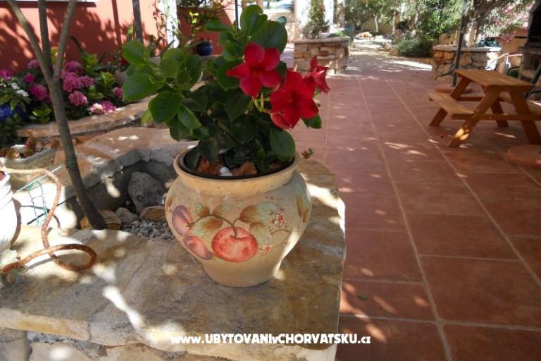 Apartments Dea&Paula – photo 9