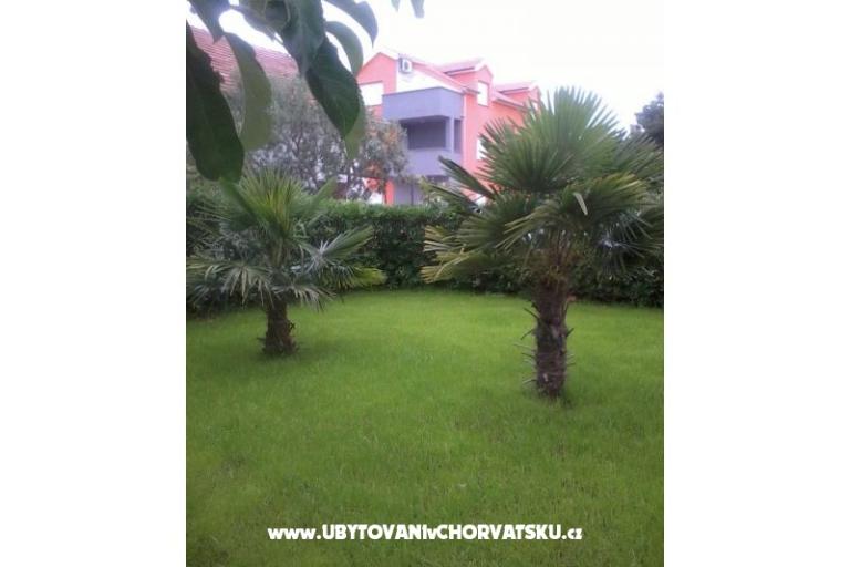 Apartments Diego – photo 2