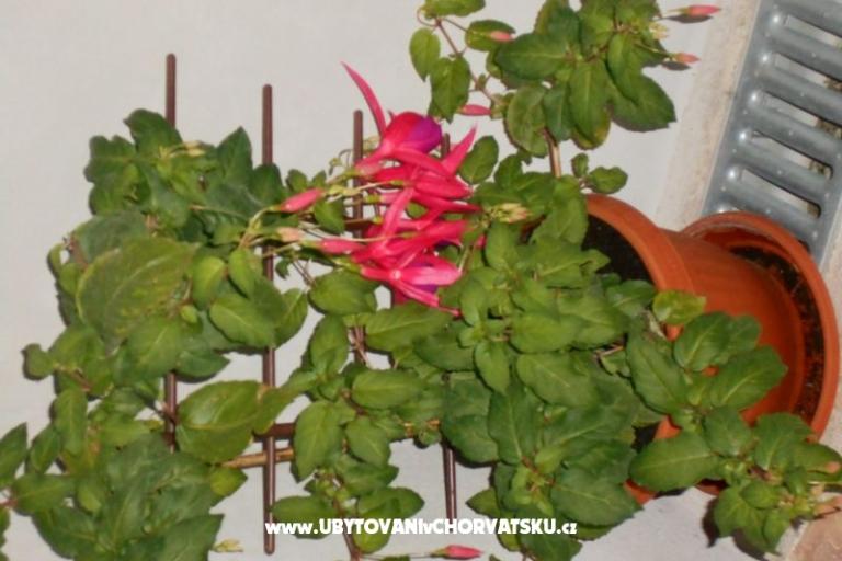 Apartments Gabriella – photo 12