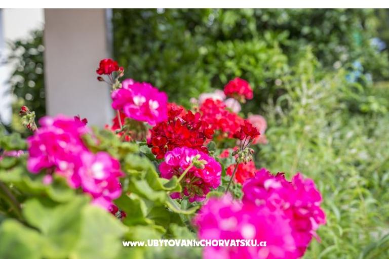 Apartments Ines – photo 3