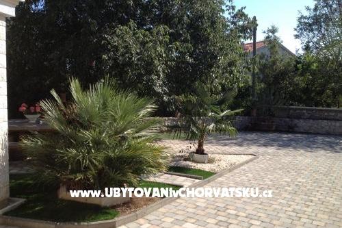 Apartments Kraljević – photo 5