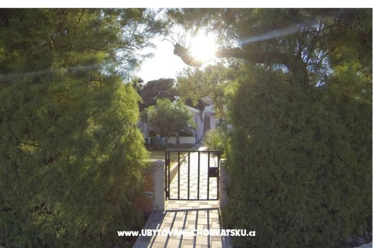 Apartments latin – photo 2