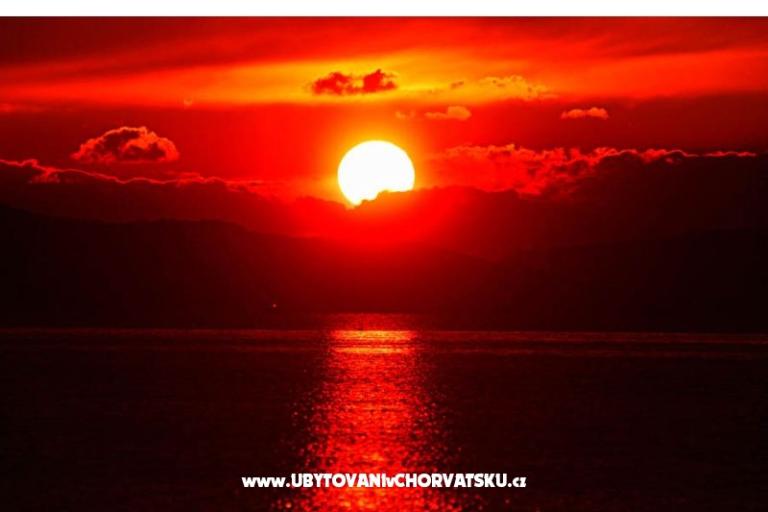 Apartments A1 – photo 15