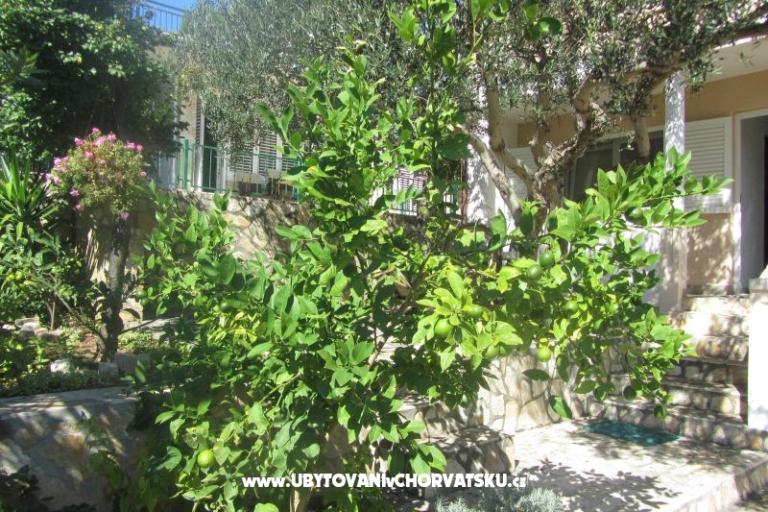 Apartments Sonja – photo 12