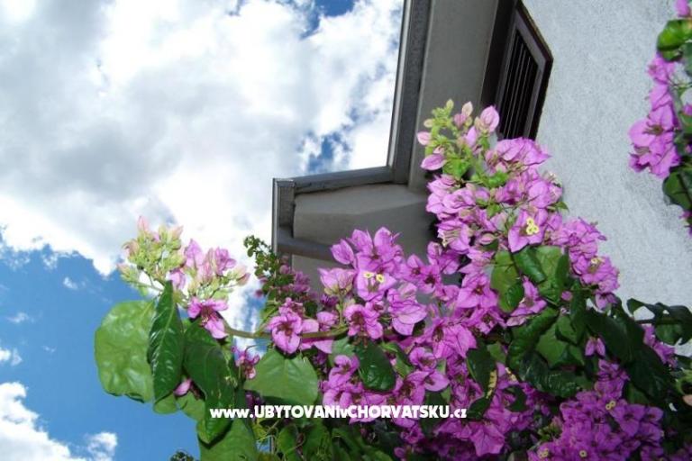 Apartments Stanko Vodice – photo 2