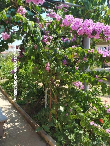 Apartments Vinka – photo 20