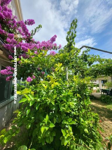 Apartments Vinka – photo 23