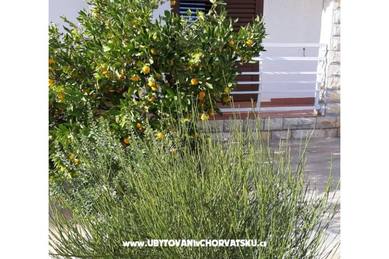 Apartments Vitali – photo 10