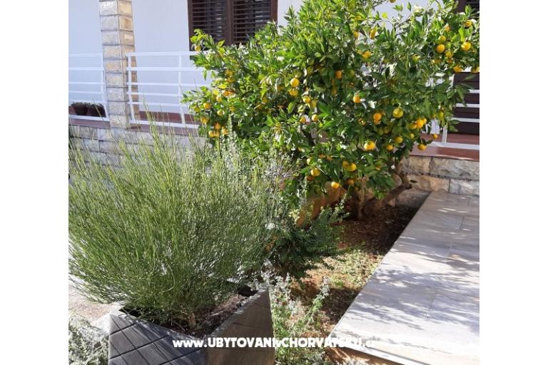 Apartments Vitali – photo 11