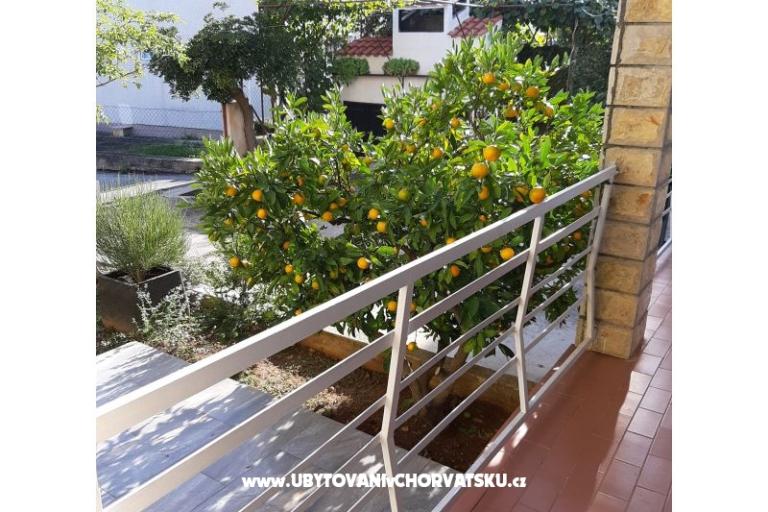 Apartments Vitali – photo 12