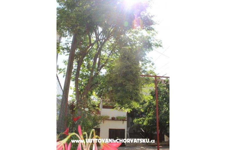 Apartments Vitali – photo 5