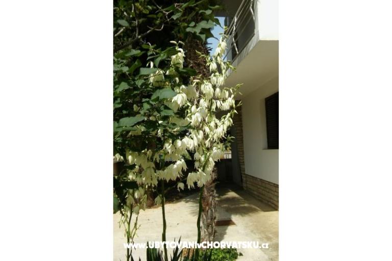 Apartments Vitali – photo 6