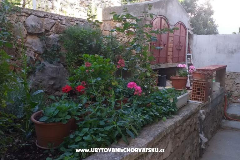 Apartment Ivan (15m from  beach) – photo 8