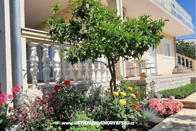 Apartments Duzelovi dvori  – photo 15