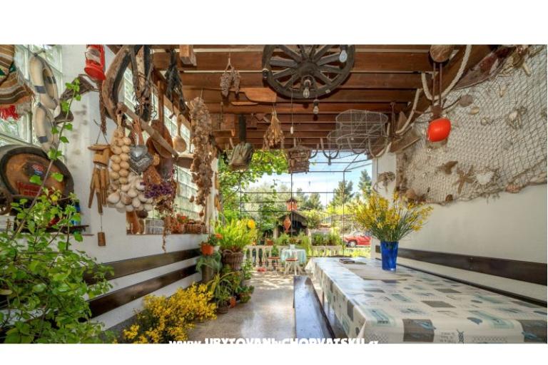 Apartments Ergić – photo 6