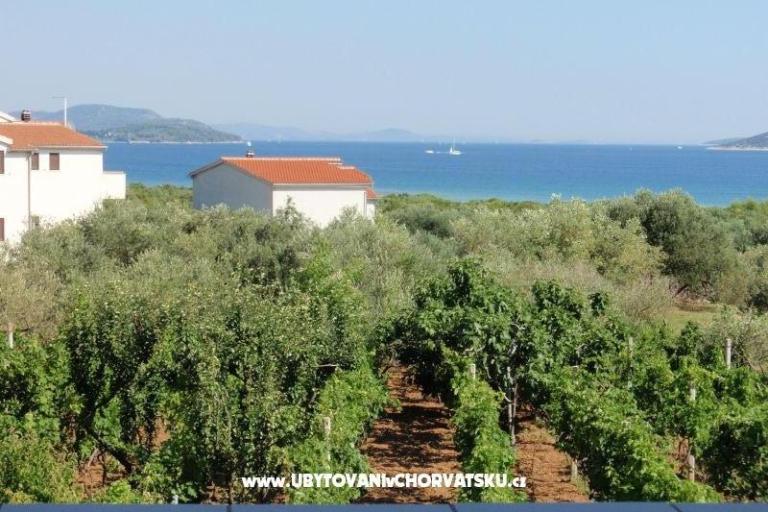 Antonela  – photo 11