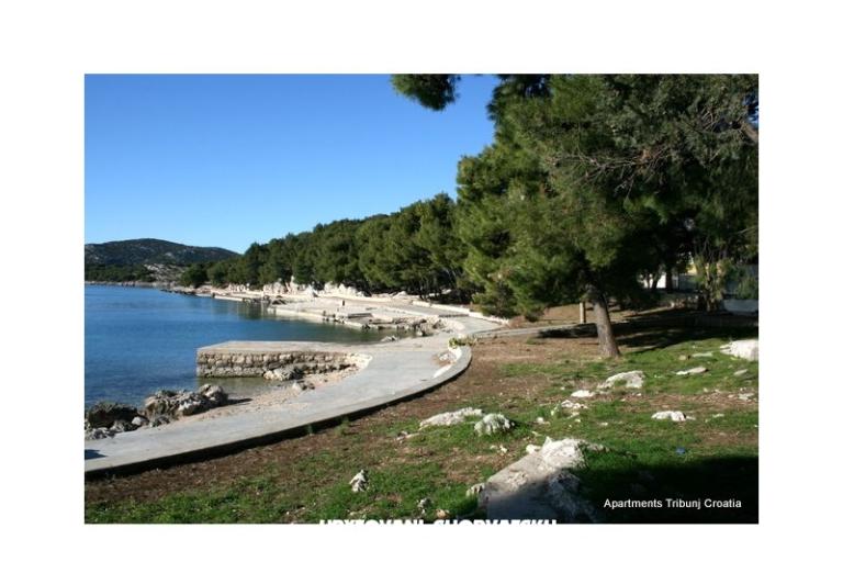 Antonela  – photo 15