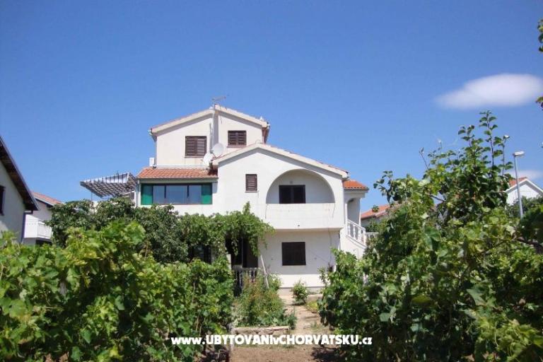 Antonela  – photo 18