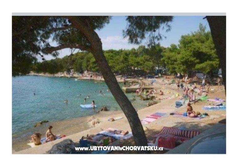 Antonela  – photo 20