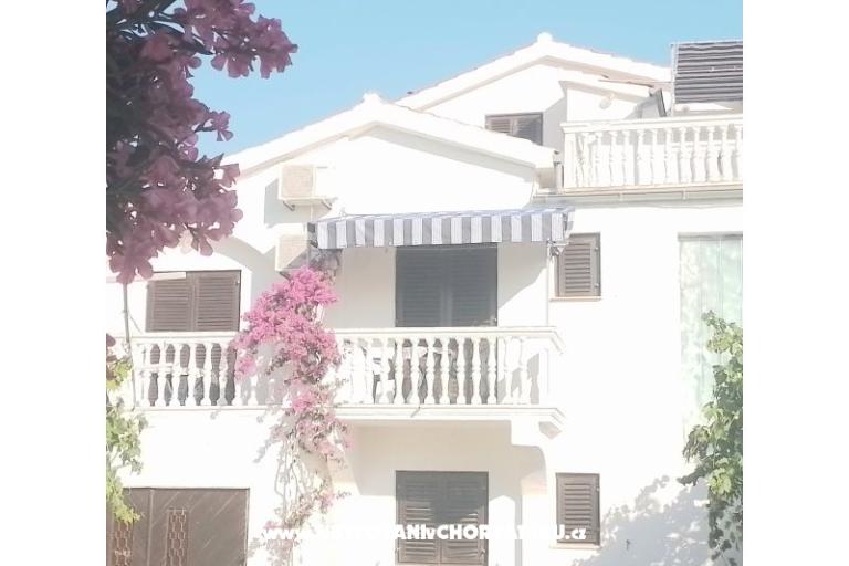 Antonela  – photo 29