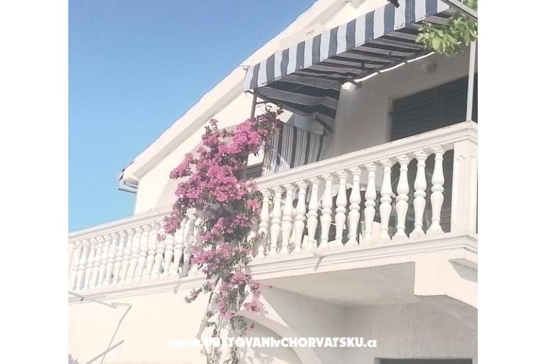 Antonela  – photo 37