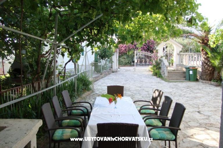 Antonela  – photo 6