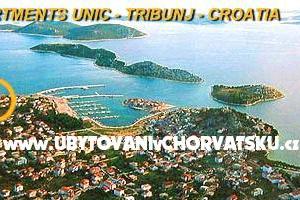 Antonela  – photo 7