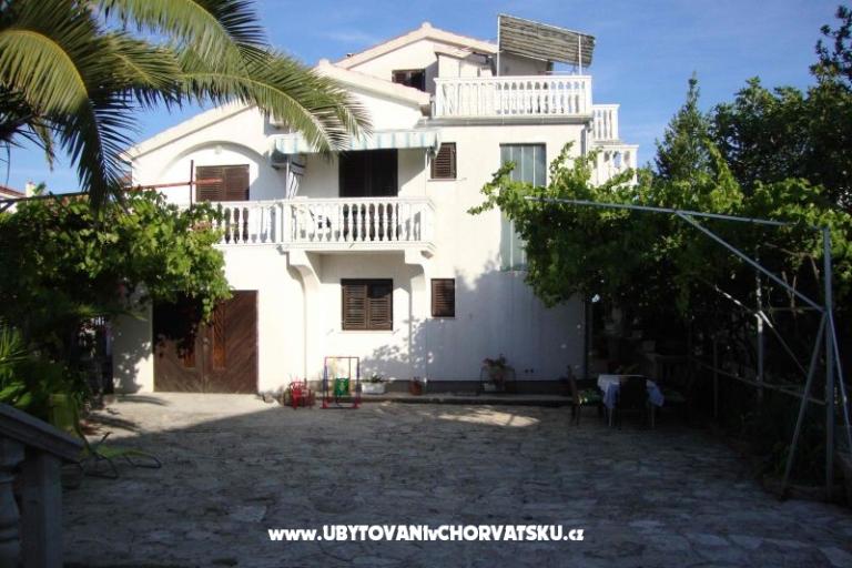 Antonela  – photo 8