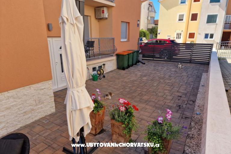 Color Apartments – photo 7