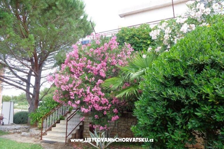 Apartments  IVAN  13.08. – photo 17