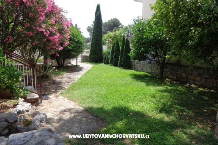 Apartments  IVAN  13.08. – photo 8