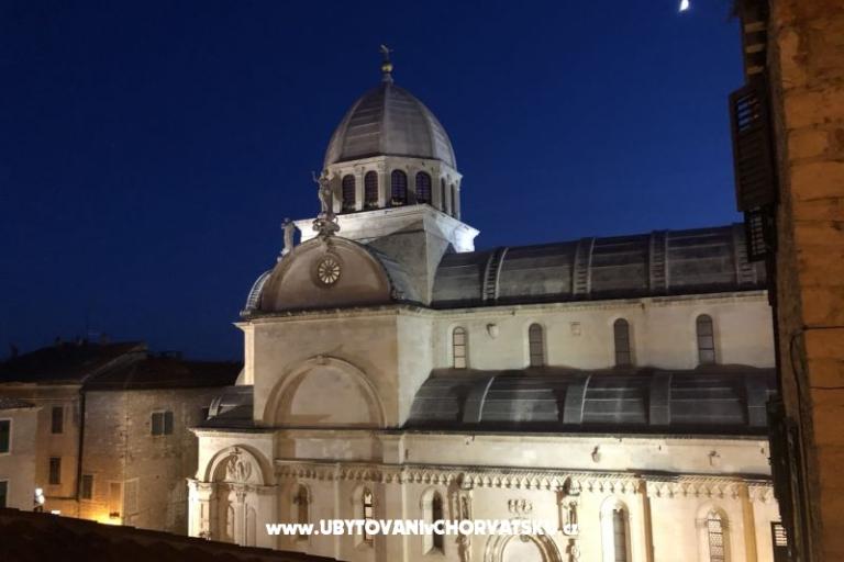 Kiwi House – photo 11