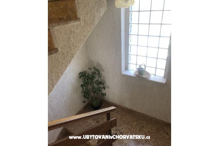 Kiwi House – photo 13