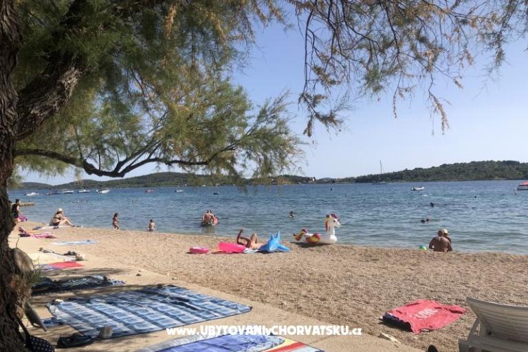 Kiwi House – photo 3