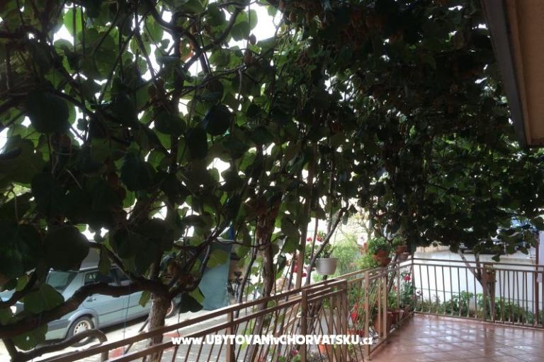 Kiwi House – photo 5